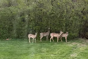 220 Gatehouse Ct, Monroe, OH 45050 - Photo 46