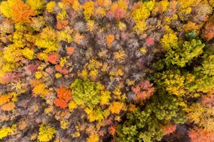 2914 US-50, Fayetteville, OH 45118 - Photo 50