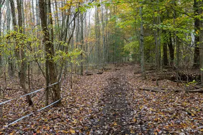 2914 Us-50, Fayetteville, OH 45118 - Photo 48