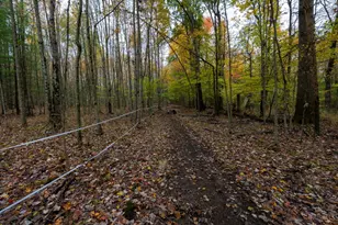 2914 US-50, Fayetteville, OH 45118 - Photo 46