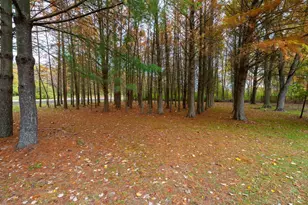 2914 US-50, Fayetteville, OH 45118 - Photo 22