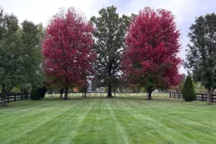 397 Huntington Dr, Loveland, OH 45140 - Photo 54