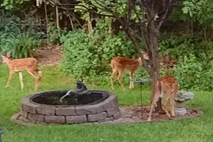 6323 Ashford Dr, Miami Township, OH 45140 - Photo 52