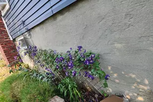 100 Broadway, Loveland, OH 45140 - Photo 50