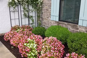 802 Pebble Pl, Tipp City, OH 45371 - Photo 38