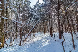 4060 Brier Ridge Rd, Liberty Twp, OH 45693 - Photo 10