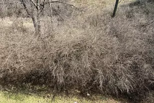 9512 Woodland Hills Dr, West Chester, OH 45011 - Photo 28