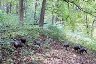 6551 Cleves Warsaw Pike, Delhi Township, OH 45233 - Photo 32