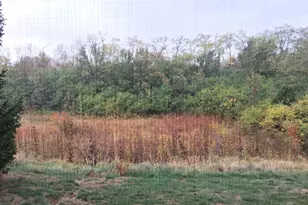 5320 Meadow Walk Ln, Green Township, OH 45247 - Photo 16