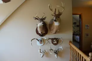 1949 Inlow- Tract 1 Ave, Peebles, OH 45660 - Photo 12