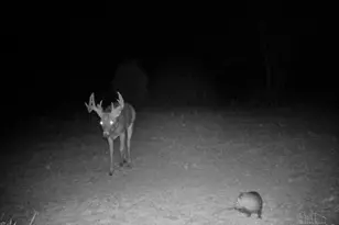 1949 Inlow- Tract 1 Ave, Peebles, OH 45660 - Photo 86