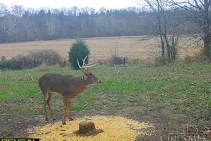 1949 Inlow- Tract 1 Ave, Peebles, OH 45660 - Photo 88