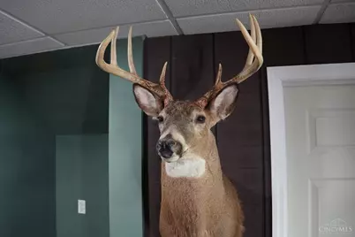 1949 Inlow- Tract 1 Avenue, Peebles, OH 45660 - Photo 50