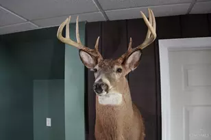 1949 Inlow- Tract 1 Ave, Peebles, OH 45660 - Photo 50