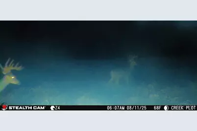 0 Inlow- Tract 2 Avenue, Peebles, OH 45660 - Photo 22