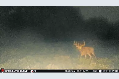 0 Inlow- Tract 2 Avenue, Peebles, OH 45660 - Photo 24