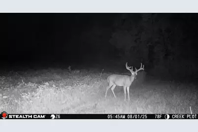 0 Inlow- Tract 2 Avenue, Peebles, OH 45660 - Photo 18