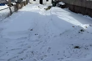 842 Heaton St, Hamilton, OH 45011 - Photo 28