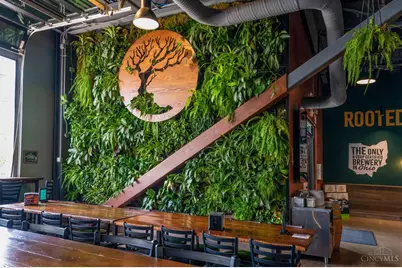 4123 Marburg Avenue, Cincinnati, OH 45209 - Photo 46