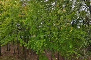 220 Carrington Pl, Loveland, OH 45140 - Photo 28