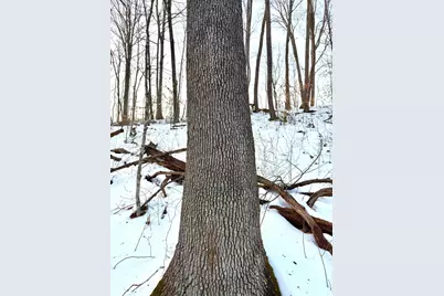 0 Carrs Run, Jackson Township, OH 45613 - Photo 14