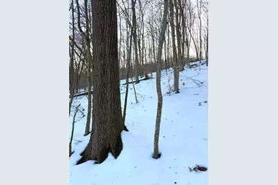 0 Carrs Run, Jackson Township, OH 45613 - Photo 32