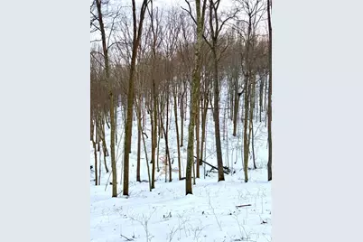 0 Carrs Run, Jackson Township, OH 45613 - Photo 52