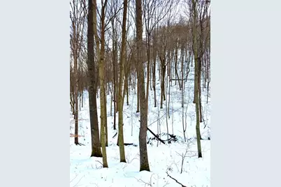 0 Carrs Run, Jackson Township, OH 45613 - Photo 50