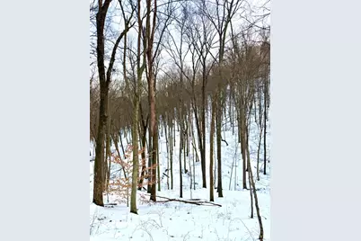 0 Carrs Run, Jackson Township, OH 45613 - Photo 54