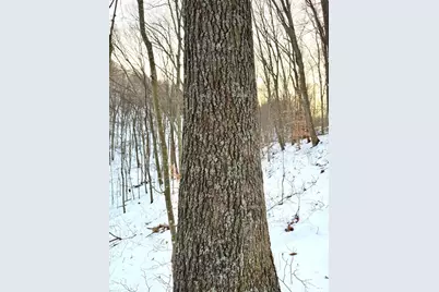 0 Carrs Run, Jackson Township, OH 45613 - Photo 18