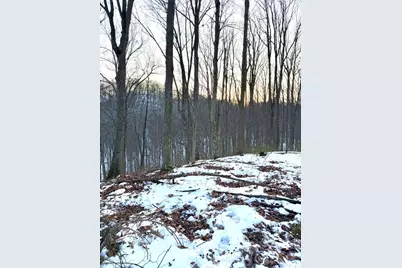 0 Carrs Run, Jackson Township, OH 45613 - Photo 38