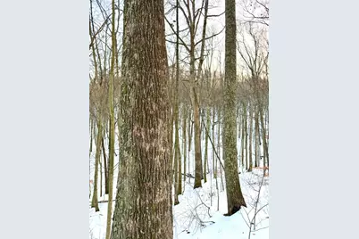 0 Carrs Run, Jackson Township, OH 45613 - Photo 56