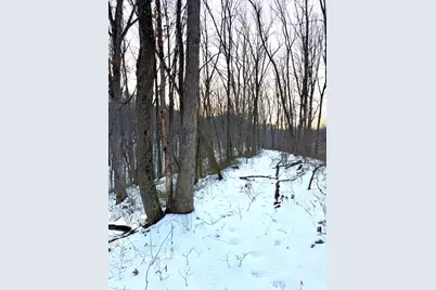 0 Carrs Run, Jackson Township, OH 45613 - Photo 42