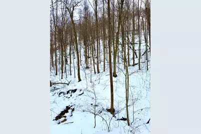 0 Carrs Run, Jackson Township, OH 45613 - Photo 48