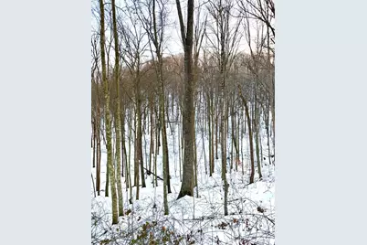 0 Carrs Run, Jackson Township, OH 45613 - Photo 60