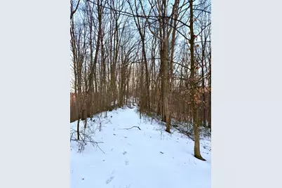 0 Carrs Run, Jackson Township, OH 45613 - Photo 12