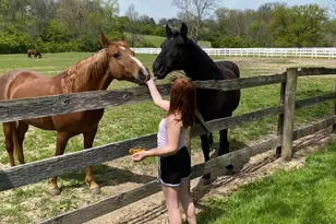 6991 Mauds Hughes Rd, Liberty Township, OH 45011 - Photo 58