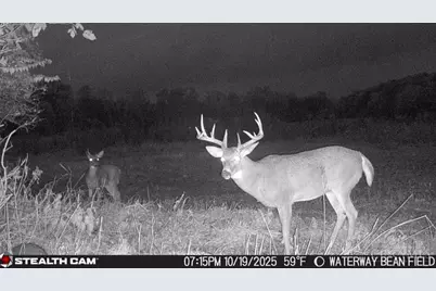 625 Branscome Road, Peebles, OH 45660 - Photo 50