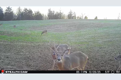 625 Branscome Road, Peebles, OH 45660 - Photo 48