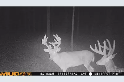 625 Branscome Road, Peebles, OH 45660 - Photo 26