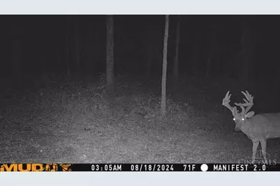 625 Branscome Road, Peebles, OH 45660 - Photo 38