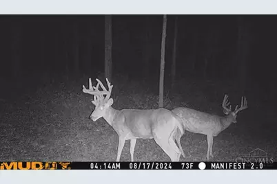 625 Branscome Road, Peebles, OH 45660 - Photo 36