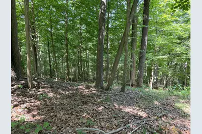 625 Branscome Road, Peebles, OH 45660 - Photo 6