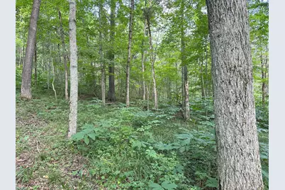 625 Branscome Road, Peebles, OH 45660 - Photo 8