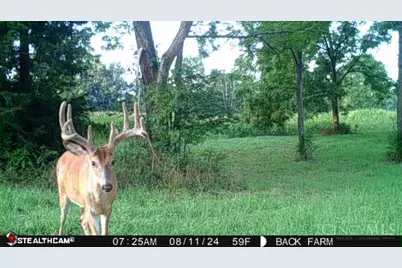 625 Branscome Road, Peebles, OH 45660 - Photo 46