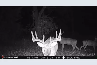 625 Branscome Road, Peebles, OH 45660 - Photo 28