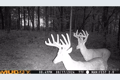 625 Branscome Road, Peebles, OH 45660 - Photo 32