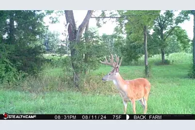 625 Branscome Road, Peebles, OH 45660 - Photo 24