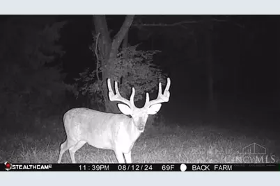 625 Branscome Road, Peebles, OH 45660 - Photo 42