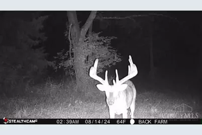 625 Branscome Road, Peebles, OH 45660 - Photo 34